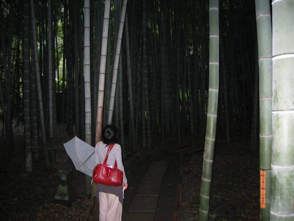 gal/Autour de Tokyo/Kamakura/105_0532.jpg